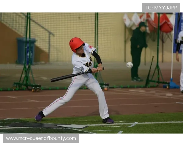 垒球运动在社会发展中的角色:从竞技表演到大众健身